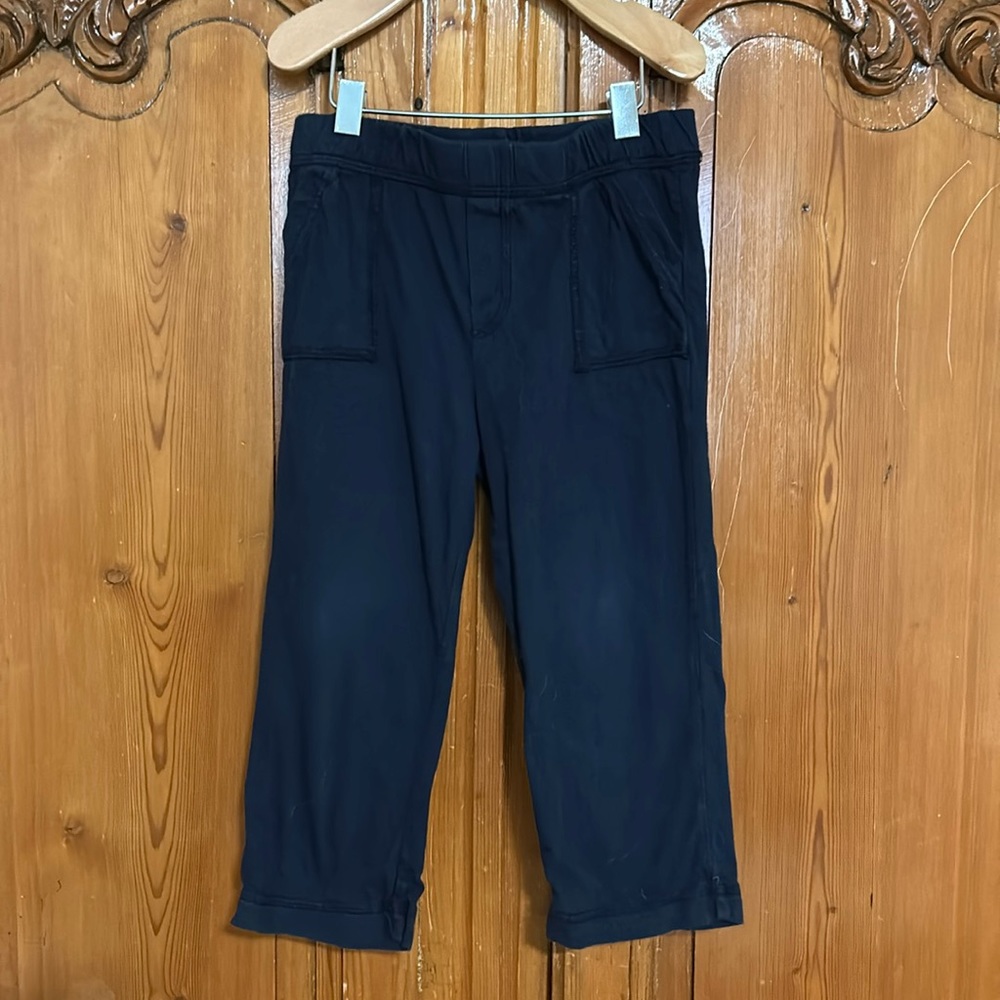 Splendid Toddler 4 Pull on Joggers
